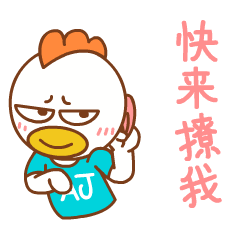  今年鸡肉价格为何跌跌不休什么时候能止损