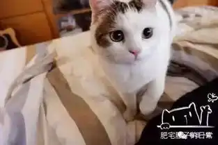  网友表示,每天都被14斤的胖子疯狂踩着膀胱踩醒