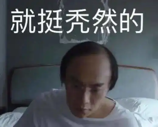 隐秘的角落表情包视频秃