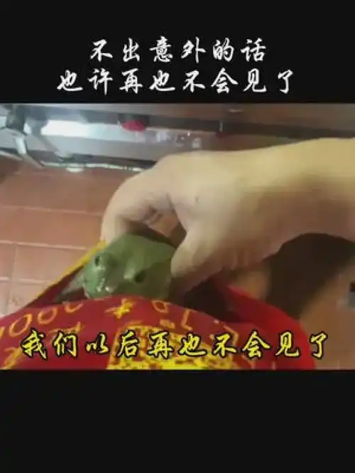  搞笑聊天记录每一帧都是表情包这波操作很秀聊天表情包是时候展现真正的技术了不出意外的话再也不会见了