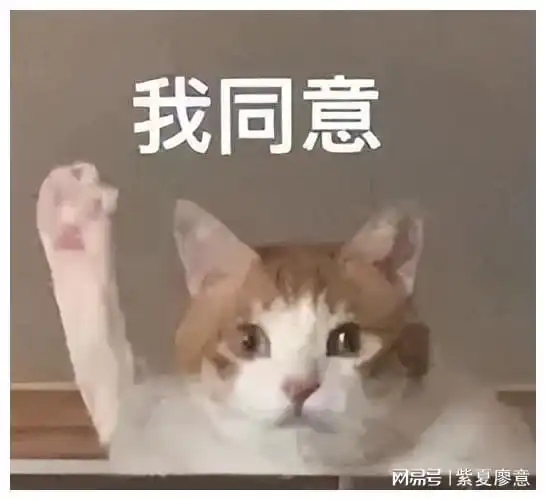  新娘们别再丧偶式备婚了,这些事交给新郎婚礼更完美