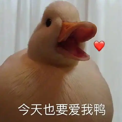 简笔画鸭子表情包鸭鸭