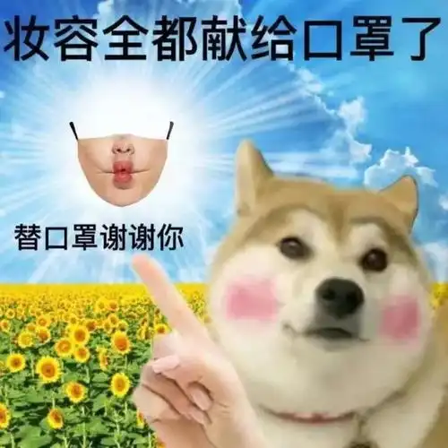  这个天热到爆炸摆烂猫狗表情包