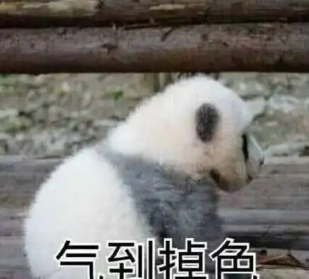  国宝大熊猫被降级啦,不过原因是让人高兴的