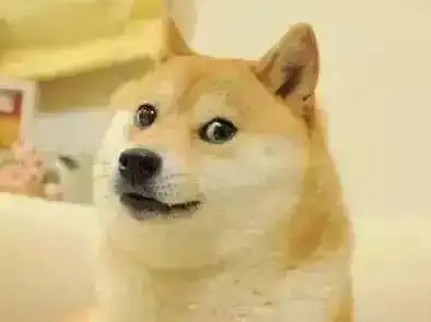  那些年陪伴过我们的这些网红狗