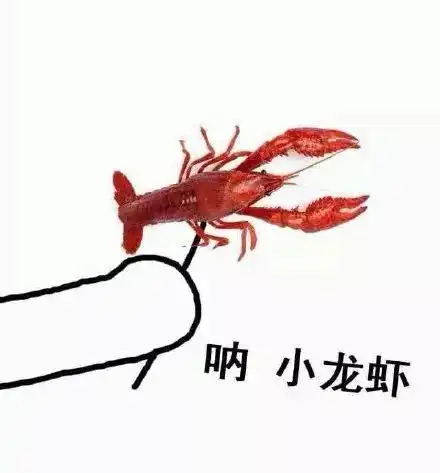微信头像动态表情包小龙