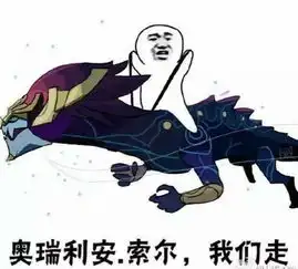 每日一笑看来大妈们都不太喜欢走中路
