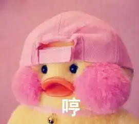 简笔画鸭子表情包聂婧