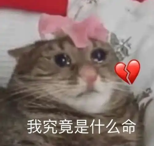 撩汉表情包男神还不投降