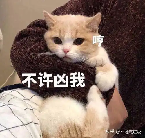  有一个当飞行学员的男朋友是一样什么体验有什么想对他说的呢