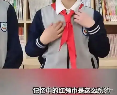  文化又入侵红领巾的新系法,神似日本水手服,网友有内鬼