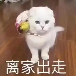  妈妈我是怎么来的你是从西瓜里切出来的
