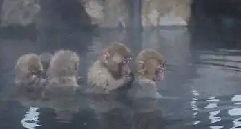  环球旅行