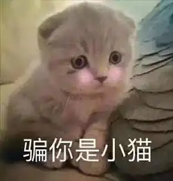  在南方,你们买菜只买一根