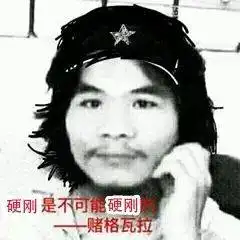 窃瓦拉格表情包鸭子
