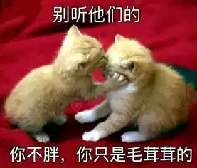  张天爱日常作息表曝光,自律的女人有多可怕