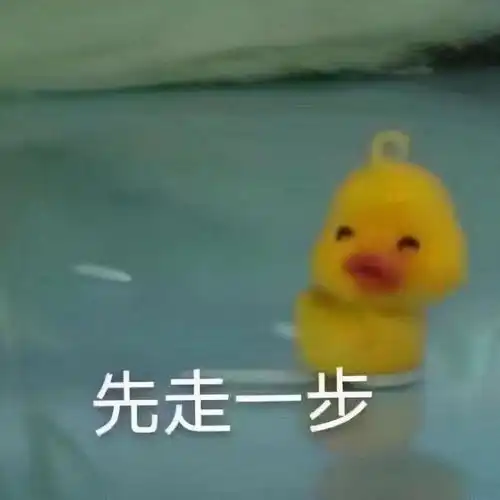 爆笑表情包原型鸭鸭