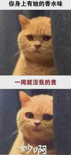  这剧干脆别穿衣服了