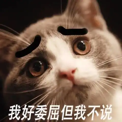  是时候收藏一波猫咪表情包了以后斗图就用这个了