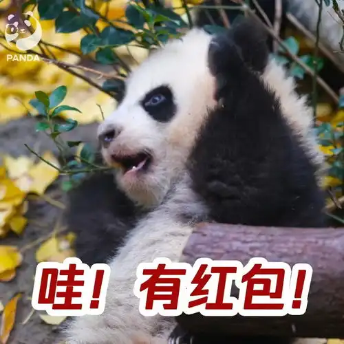 世界表情符号日网络社交时代,为什么需要表情包