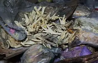  千万别吃常吃泡椒凤爪竟然易患肿瘤