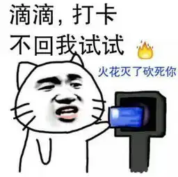  日常保持小火花可以变成巨轮嘛表情包