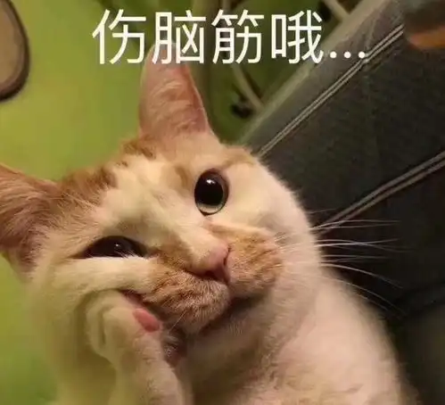  在上海街头扔垃圾,太搞脑子了吧投放口变小变细变多扔起来不方便,竟是管理部门故意为之