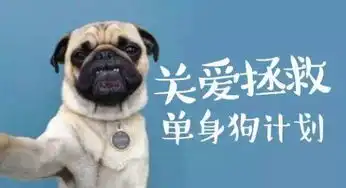  七夕又中枪让哈弗f7三重礼给你瞬间回血