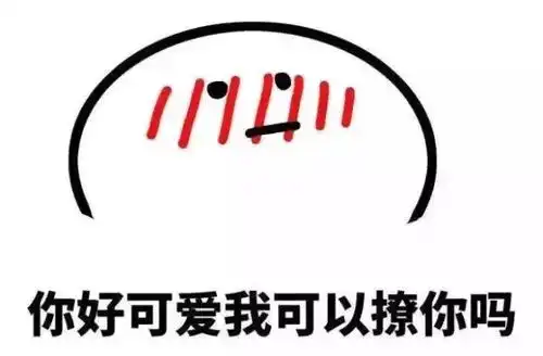  南方妹子深深地向北方婆家势力低头