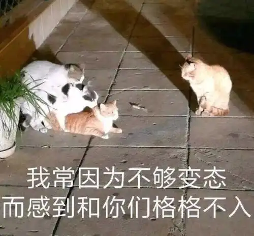  每日一骚小的时候发现女神居然会拉屎,哭了一整天