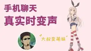  王者荣耀安卓变声器语音包悬浮窗变声视频教程
