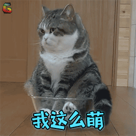  月饼怎么选怎么存放,怎么吃不长胖你的疑虑这里有解