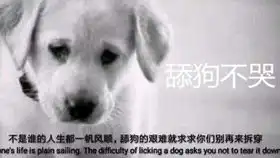  女人对备胎有多残忍有备胎的女人心里是怎么想的
