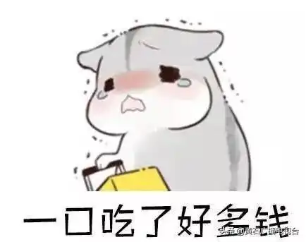  太突然黄石菜价暴涨