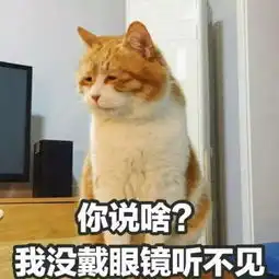  一大波猫咪表情包正在来袭,要斗图的拿走不谢