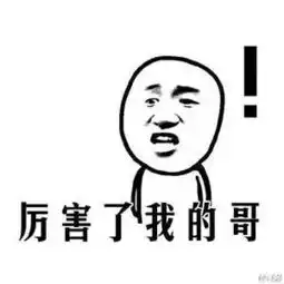  自从迷上了王者荣耀,这群外国人已经把自己逼成中文十级了.