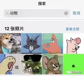  iphone系统升级后,这个功能太魔性网友被气到吐血