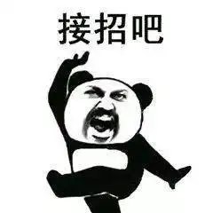  彩江职蔡李佛拳练就武林高手