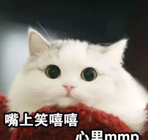  养猫真的很简单吗不不不,这里面可能有什么误解