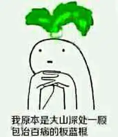  暴走板蓝根