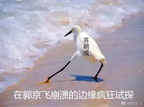  苏大强硬是把我馋哭了深扒都挺好剧组,在这座水乡都吃了什么神仙美食