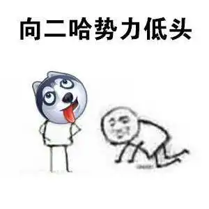 二哈终于对派出所下手了,走丢后拆家拆到派出所,逼的民警打110