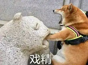 有奖竞投表情包大赛开始啦,你家狗子能赢吗