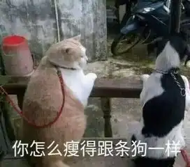  幽默段子笑话老师家有个读二年级的小男孩,平时一副拽拽的样子