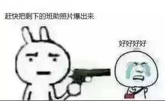 群里请勿发表情包刮风
