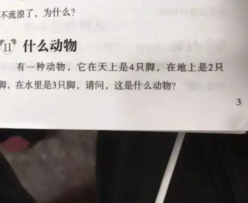  学姐摆地摊,全是她用过的东西,我该选哪个网友盆子越小越好哈哈