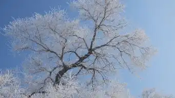  在冰天雪地里撒个欢儿哈尔滨雪谷雪乡