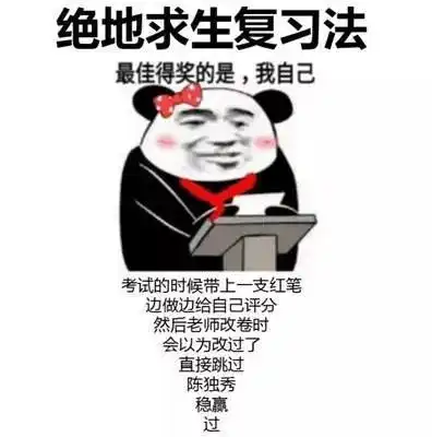  麻痹期末复习到底有多少种方法