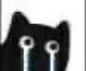 求这个小黑猫的表情包
