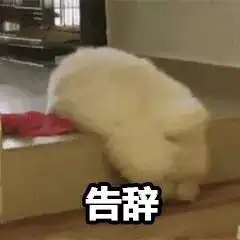  杂图表情包合集
